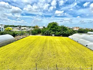 Lavender Homestay - Cheng-i-ts'un - 9