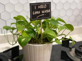 M12 Homestay, Butterworth - 3