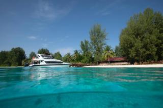 Andau Dive Resort Raja Ampat - 6