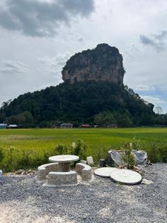 OLAH HOMESTAY - Kodiang - 4