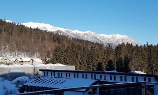 Studio Mountain View - Sinaia - 1