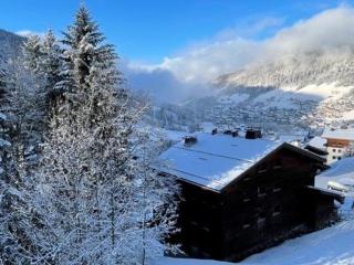 Confortable T4, 8 pers, 3 chambres, Le Grand-Bornand - FR-1-458-151 - Le Grand-Bornand - 5