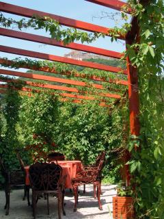 Pensiunea Subcetate Deva - 1