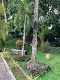 Lali Villa & Fruit Garden - 1