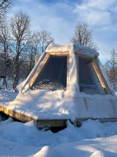 Aurora Cone - 9