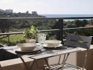 Studio 33m² vue mer - Propriano - 1