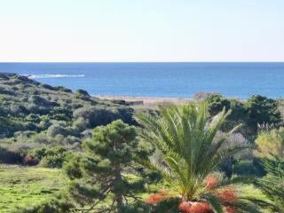 Studio 33m² vue mer - Propriano - 9