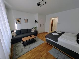 S15 Studio Apartment FREE PARKING - Zagabria - 8
