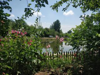 Billina Private Boutique Garden Cottage - 8