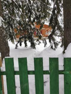 Cabana Fantanita cu Brazi - Poiana Brasov - 1