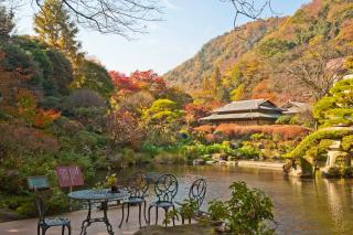 Yoshiike Ryokan - Hakone - 6
