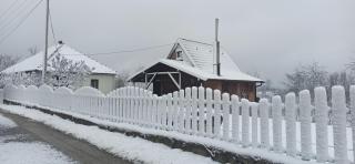 Porodicna brvnara Ivanovic - Zlatibor - 0