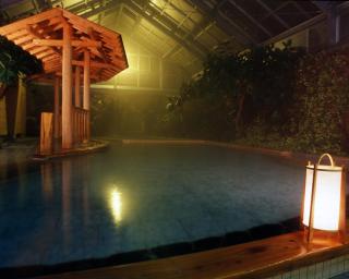 Yoshiike Ryokan - Hakone - 1