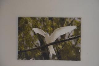 Butterfly Villas - Grand'Anse Praslin - 1