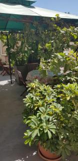 Apartments Dalia House - 4