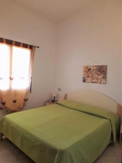 Nuova Valmar Ginepri "Stella" - Monte Nai - 1