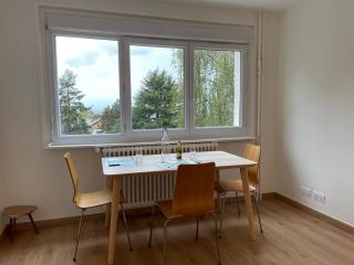 Vue Lac, Central et Contemporain - Évian-les-Bains - 5