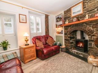 Vigo Cottage - Tavistock - 7