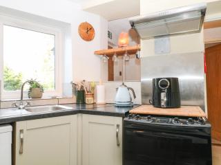Vigo Cottage - Tavistock - 2