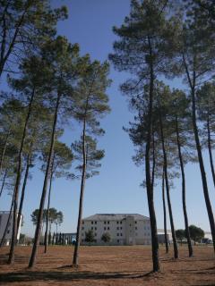 Kyriad Direct Mont De Marsan - St Avit - Saint-Avit - 9