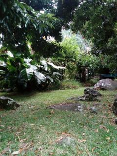 Kaz nature, mon zarlor - Saint-Joseph - 8