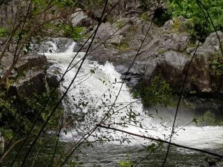 Kaz nature, mon zarlor - Saint-Joseph - 7