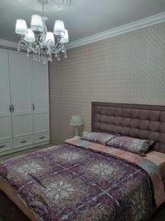 Luxury Stefan cel mare Apartment - 9