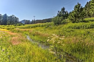 Rapid City Cabin with Hiking and ATV Trail Access - Rapid City - 9
