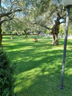 Eleonas Apartments - Riza - 6