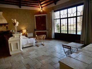 Le Pool House - Private Jacuzzi - Mas des Sous Bois - Ventabren - 4