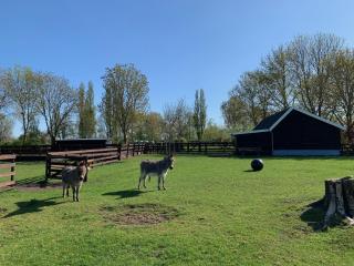 B&B De Porrel - Polsbroek - 9