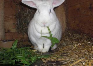 Ferienwohnung-Talblick - 4