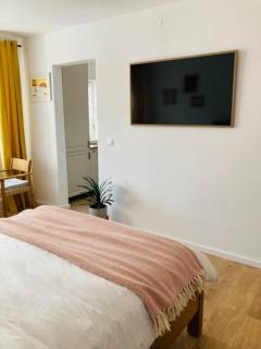 Warm and cozy studio flat near Straja - Uricani - 2