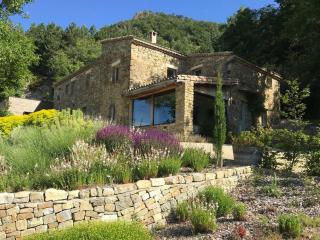 Magnifique domaine en Drôme Provençale pour 30 pers - Teyssières - 1