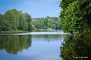 Sodybos Narūnas namelis po egle - - 8
