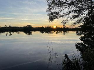 Beautiful Waterfront 1 bedroom #3 - Punta Gorda - 0