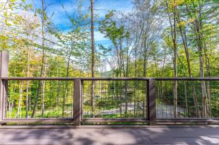 Trekker, Treehouses cabins and lodge rooms - 7