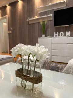 Central Luxury Suites - Bijeljina - 4