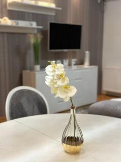 Central Luxury Suites - Bijeljina - 5