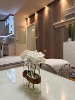 Central Luxury Suites - Bijeljina - 6