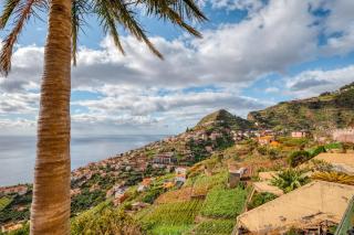 Palm Tree House by Amazing Madeira - Câmara de Lobos - 5
