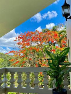 Haven Hill Place (New!!!) - - 7