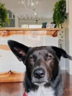 Luna House & Cowork - Cascais - 9