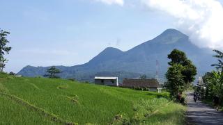 Avila Ketapan Rame Hotel - Trawas - 1