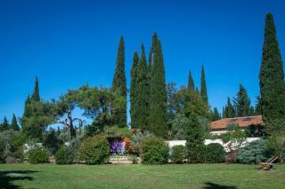 Vintage Provence - Arles - 7