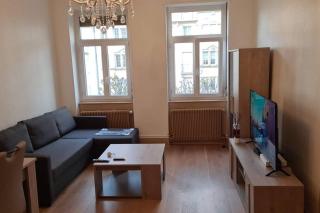 Grand 4p Strasbourg orangerie 7 personnes proche d Allemagne - Estrasburgo - 0