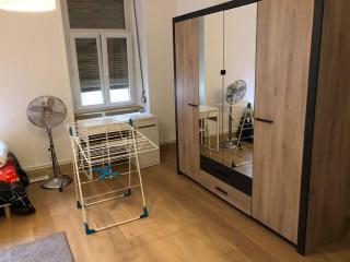 Grand 4p Strasbourg orangerie 7 personnes proche d Allemagne - Estrasburgo - 1