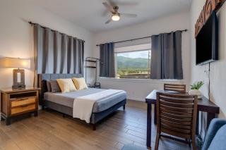 Unit 1 Maui Ohana Modern Studio - Wailuku - 7