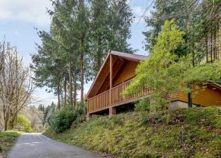 Bulworthy Forest Lodges - Instow - 3