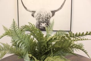 Cabin 12 at Horse Creek Resort - 4